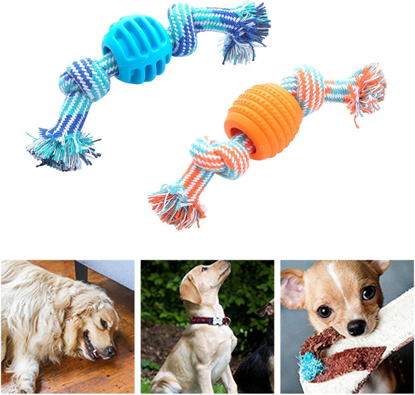 Durable Dog Chew Toy with Rope — Soft, Safe, Teeth‑Cleaning Molar Toy for Puppies & Small–Medium Dogs